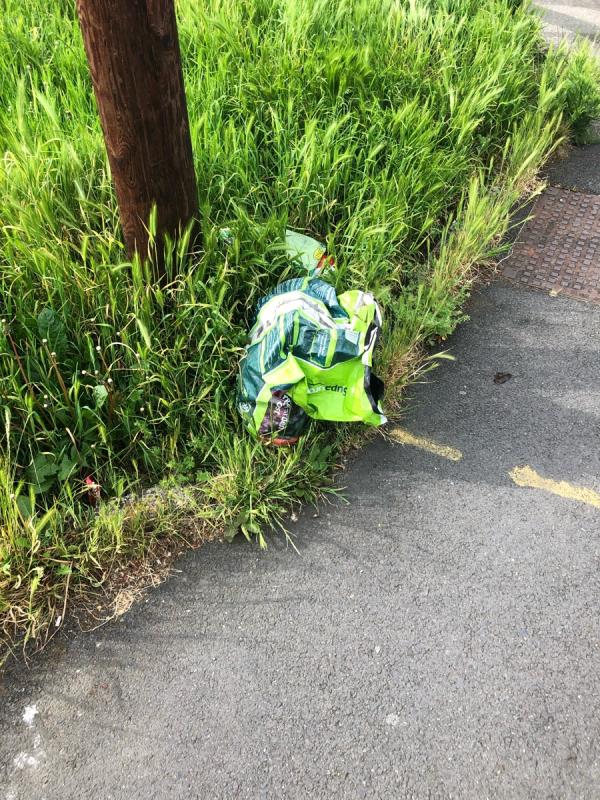Junction of Boundfield Road. Please clear bag from grass area-1 Hexal Road, London, SE6 1PN