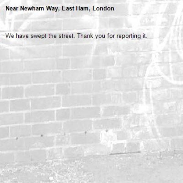 We have swept the street. Thank you for reporting it.-Newham Way, East Ham, London