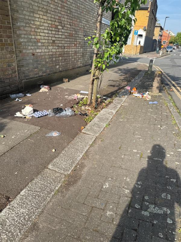 Rubbish and rotting food-Harberson Road, Stratford, London