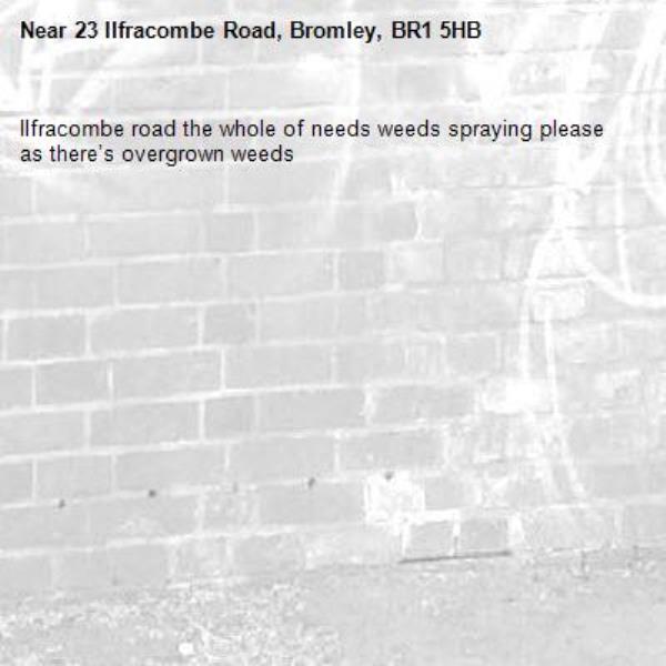Ilfracombe road the whole of needs weeds spraying please as there’s overgrown weeds -23 Ilfracombe Road, Bromley, BR1 5HB