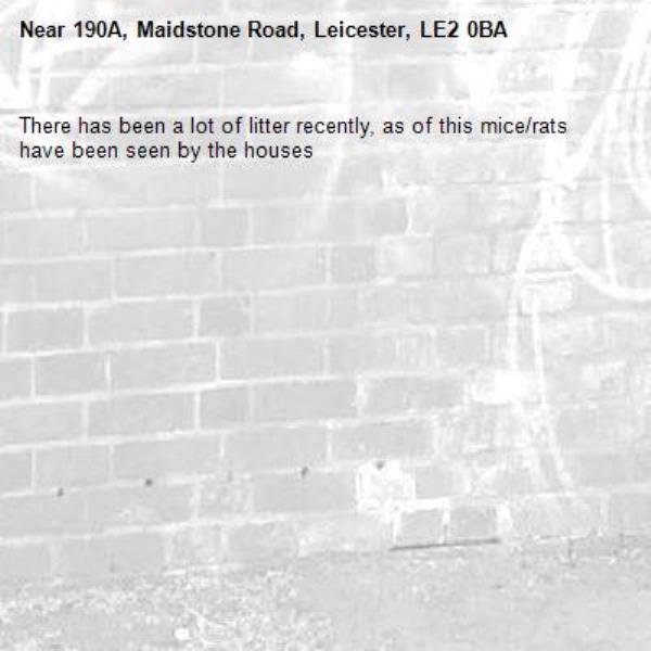 There has been a lot of litter recently, as of this mice/rats have been seen by the houses-190A, Maidstone Road, Leicester, LE2 0BA
