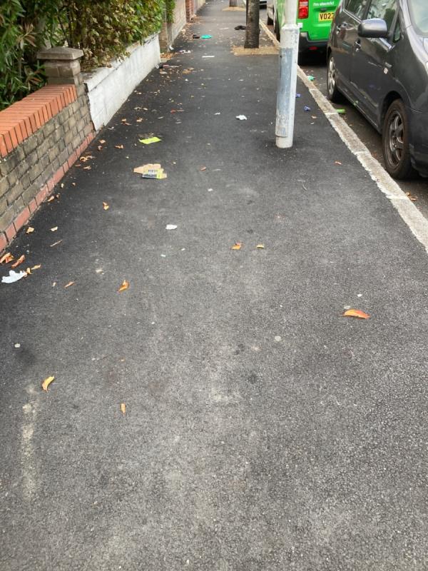 The usual saturday mess along Carlton road- not included the usual waste left outside the entrance of flats next to All Sat 4U, or the bins left at junction with Carlton Rd…-18 Carlton Road, Manor Park, London, E12 5BG