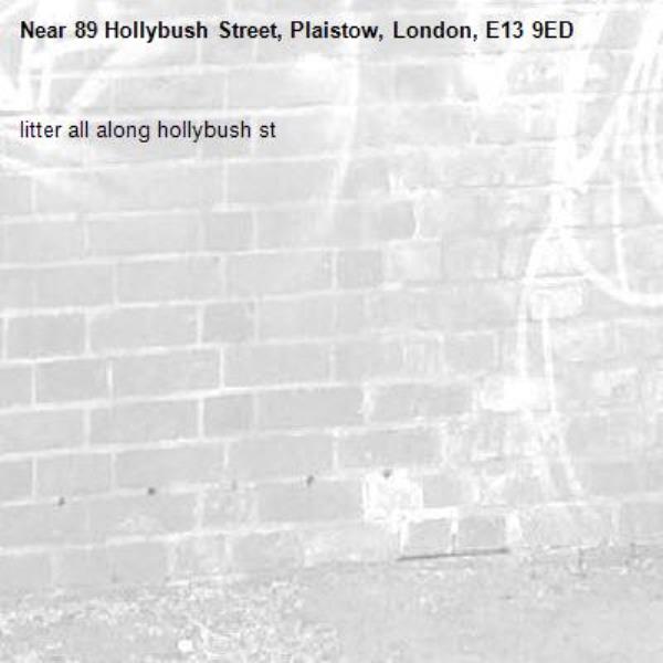 litter all along hollybush st -89 Hollybush Street, Plaistow, London, E13 9ED