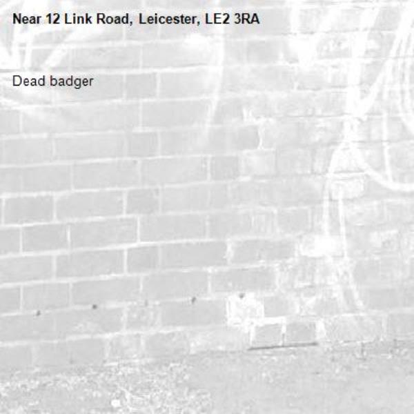 Dead badger-12 Link Road, Leicester, LE2 3RA