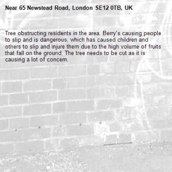 Tree obstructing residents in the area. Berry's causing people to slip and is dangerous, which has caused children and others to slip and injure them due to the high volume of fruits that fall on the ground. The tree needs to be cut as it is causing a lot of concern.-65 Newstead Road, London SE12 0TB, UK