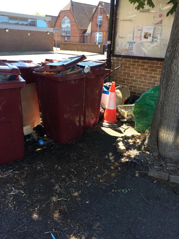 Bins placed here but never emptied. Additional rubbish dumped - fire risk! Reported already - your app screwed up location-31 Elizabeth Walk, Reading RG2 0AW, UK