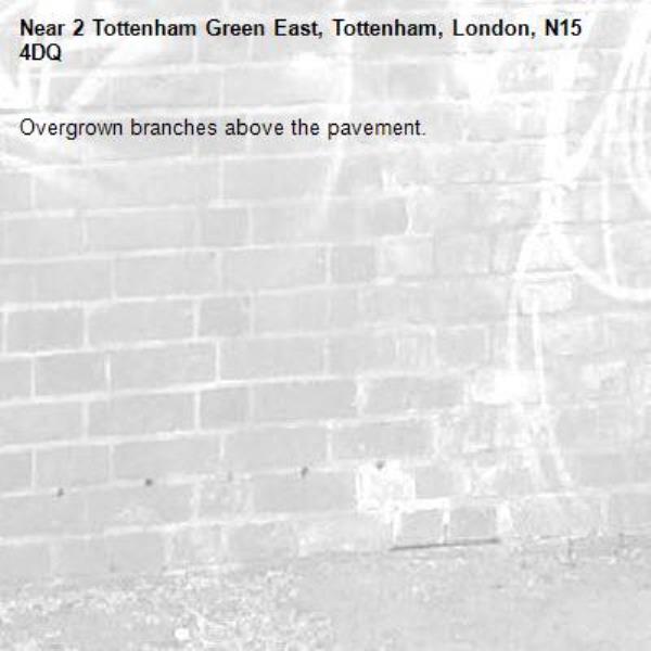 Overgrown branches above the pavement.-2 Tottenham Green East, Tottenham, London, N15 4DQ
