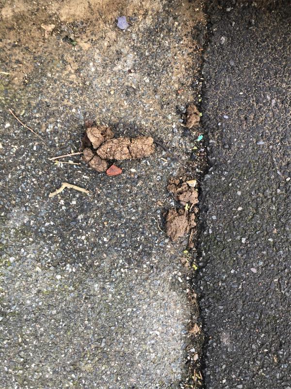 Please clear dog fouling from start of alleyway-146 Ivorydown, Bromley, BR1 5EF