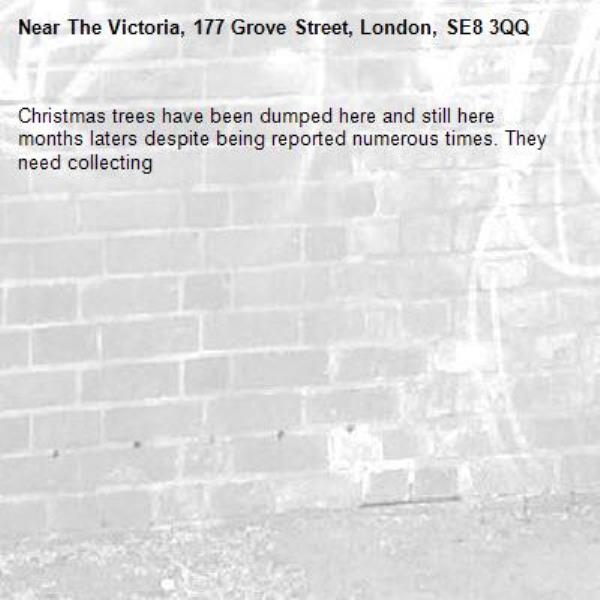 Christmas trees have been dumped here and still here months laters despite being reported numerous times. They need collecting -The Victoria, 177 Grove Street, London, SE8 3QQ