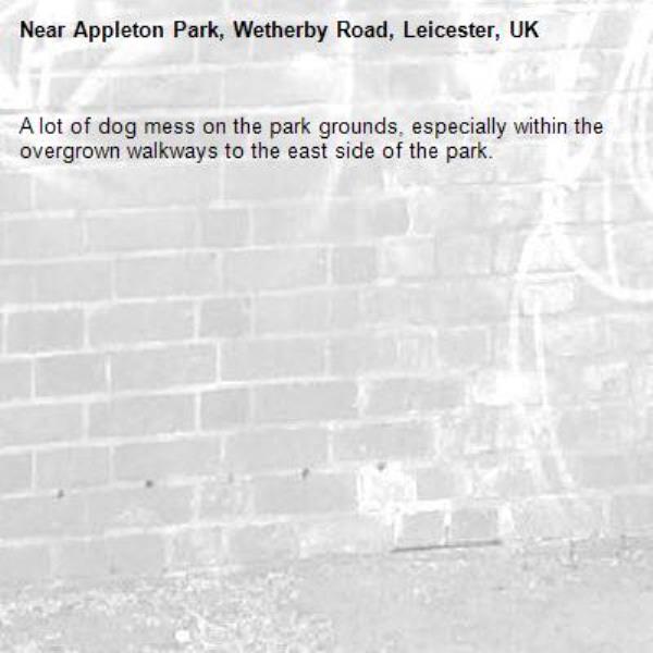 A lot of dog mess on the park grounds, especially within the overgrown walkways to the east side of the park. -Appleton Park, Wetherby Road, Leicester, UK