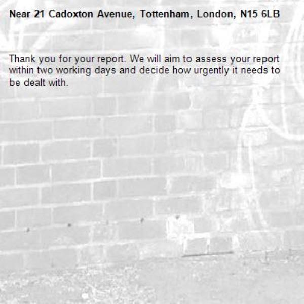 Thank you for your report. We will aim to assess your report within two working days and decide how urgently it needs to be dealt with.-21 Cadoxton Avenue, Tottenham, London, N15 6LB