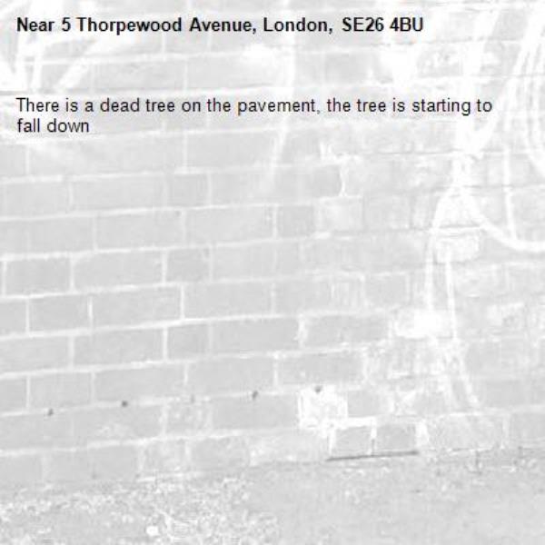 There is a dead tree on the pavement, the tree is starting to fall down-5 Thorpewood Avenue, London, SE26 4BU