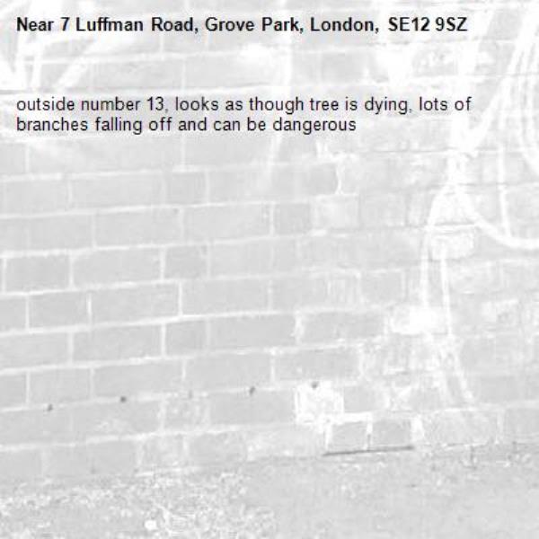 outside number 13, looks as though tree is dying, lots of branches falling off and can be dangerous-7 Luffman Road, Grove Park, London, SE12 9SZ