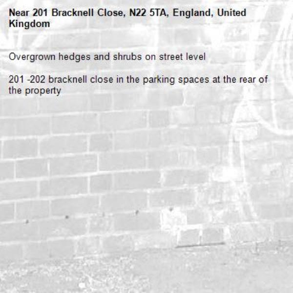 Overgrown hedges and shrubs on street level 

201 -202 bracknell close in the parking spaces at the rear of the property-201 Bracknell Close, N22 5TA, England, United Kingdom
