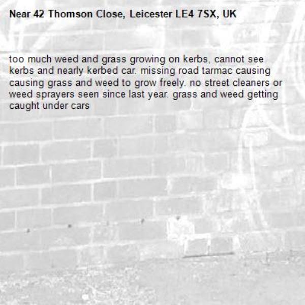 too much weed and grass growing on kerbs, cannot see kerbs and nearly kerbed car. missing road tarmac causing causing grass and weed to grow freely. no street cleaners or weed sprayers seen since last year. grass and weed getting caught under cars-42 Thomson Close, Leicester LE4 7SX, UK