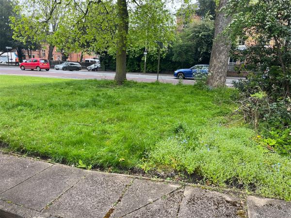 The grass is overgrown and hasn’t been cut for a while -London Road Service Road Cedars Court, Leicester