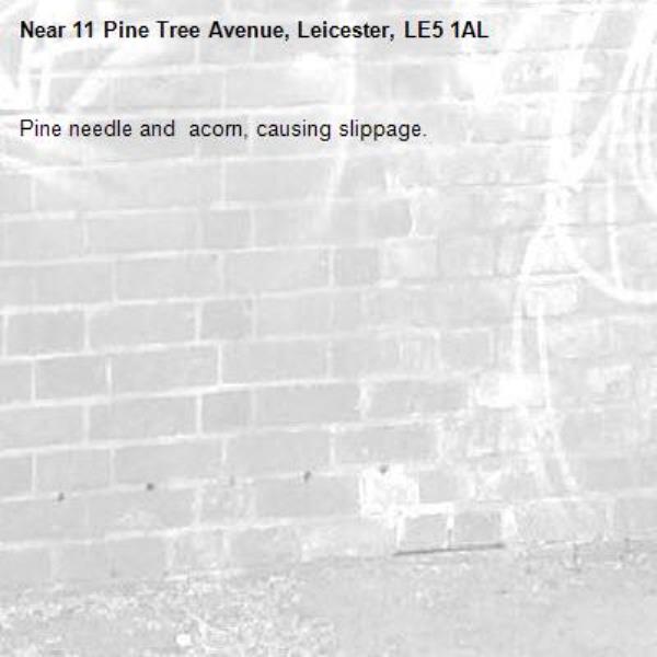 Pine needle and  acorn, causing slippage. -11 Pine Tree Avenue, Leicester, LE5 1AL