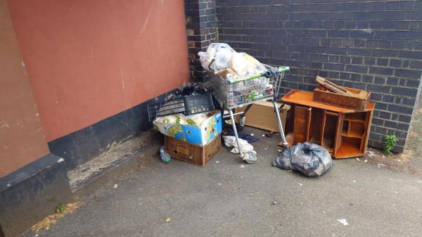 Bags. Boxes. Shopping trolley.-1A, Manbey Park Road, Stratford, London, E15 1EY