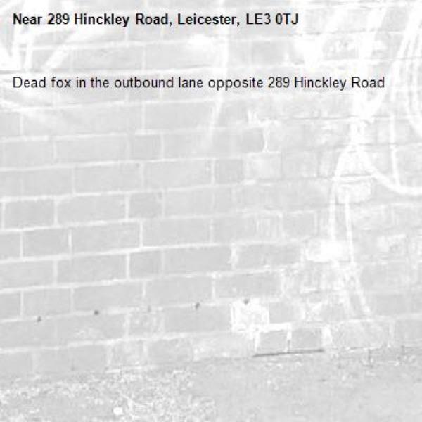 Dead fox in the outbound lane opposite 289 Hinckley Road -289 Hinckley Road, Leicester, LE3 0TJ