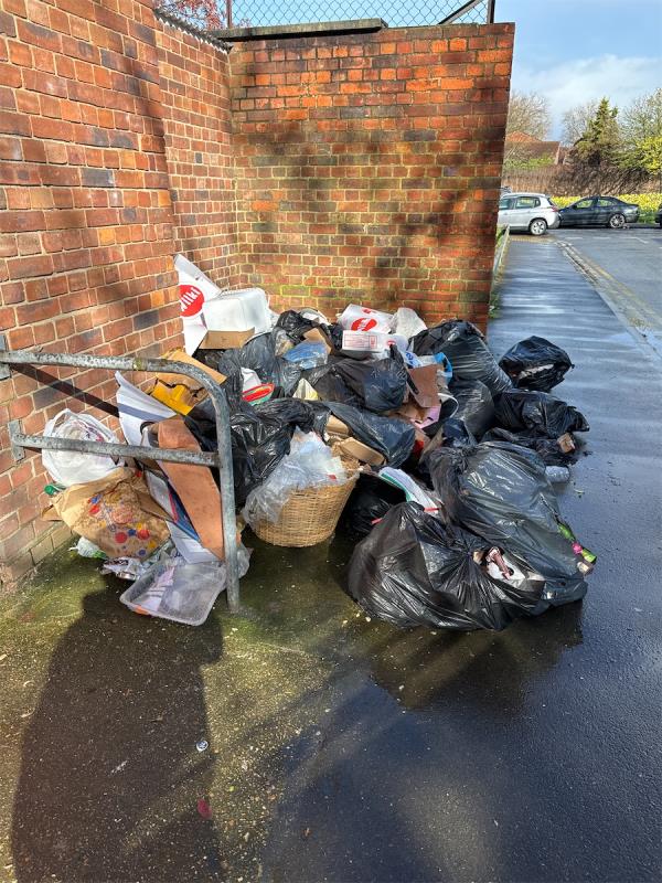 Rubbish dumped outside by Newham caretaker for another team to collect has been like this for the last 3 days. -12 Kent Street, Plaistow, London, E13 8RL