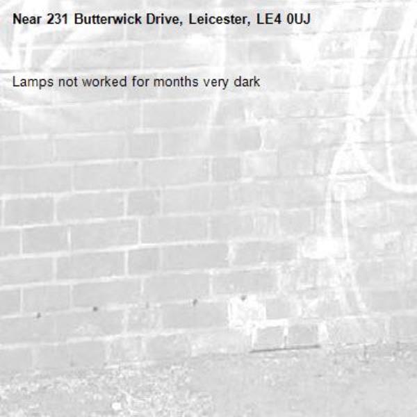Lamps not worked for months very dark-231 Butterwick Drive, Leicester, LE4 0UJ