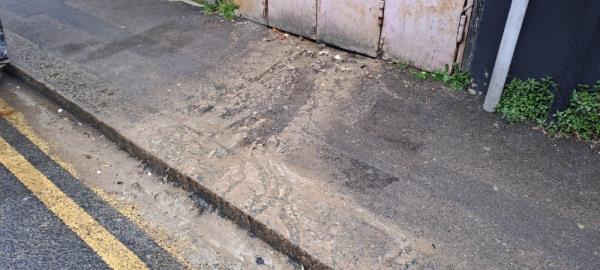 This part of the footpath on pelly road is very slippery and the smell of all the suspected bio waste is unbearable. This is proabably caused by the takeaway shop king neptune chippy on terrace road. It is like this 365 days of the year. This is unacceptable for us residents to have to deal with.-30 Pelly Road, Plaistow, London, E13 0NL