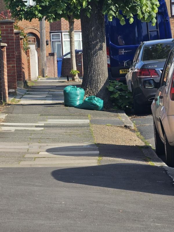 Green bags by tree-19 Argyll Avenue, Southall, UB1 3AT