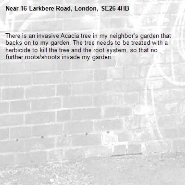 There is an invasive Acacia tree in my neighbor's garden that backs on to my garden. The tree needs to be treated with a herbicide to kill the tree and the root system, so that no further roots/shoots invade my garden. -16 Larkbere Road, London, SE26 4HB