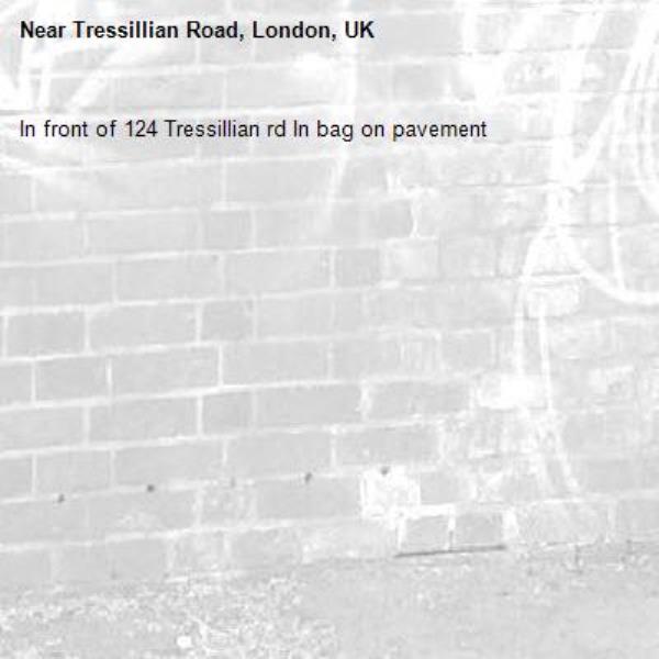 In front of 124 Tressillian rd In bag on pavement-Tressillian Road, London, UK