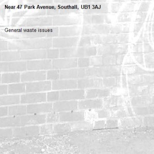General waste issues -47 Park Avenue, Southall, UB1 3AJ