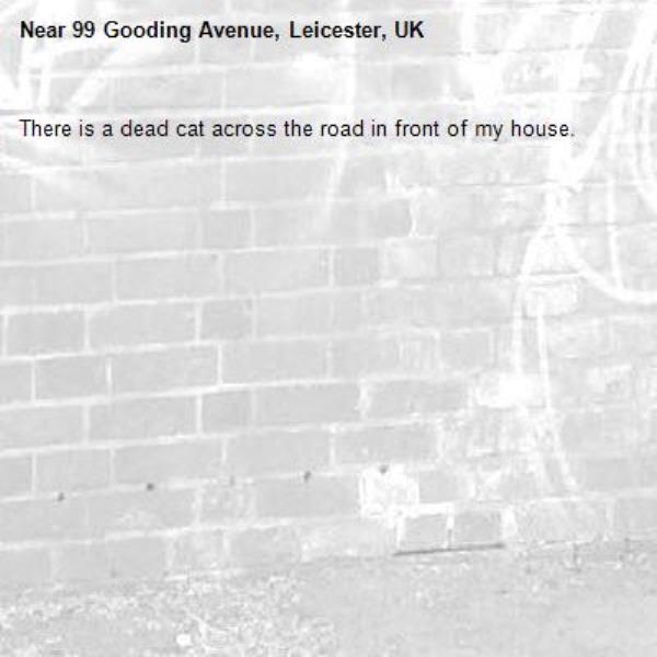 There is a dead cat across the road in front of my house.-99 Gooding Avenue, Leicester, UK