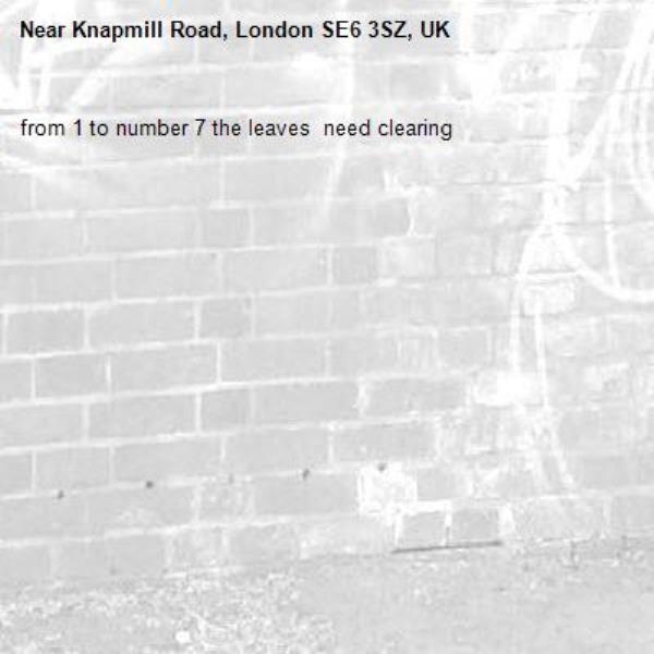 from 1 to number 7 the leaves  need clearing -Knapmill Road, London SE6 3SZ, UK