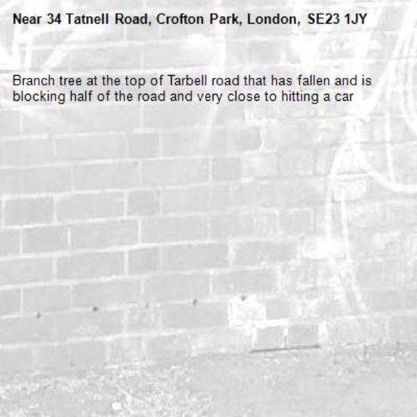 Branch tree at the top of Tarbell road that has fallen and is blocking half of the road and very close to hitting a car-34 Tatnell Road, Crofton Park, London, SE23 1JY