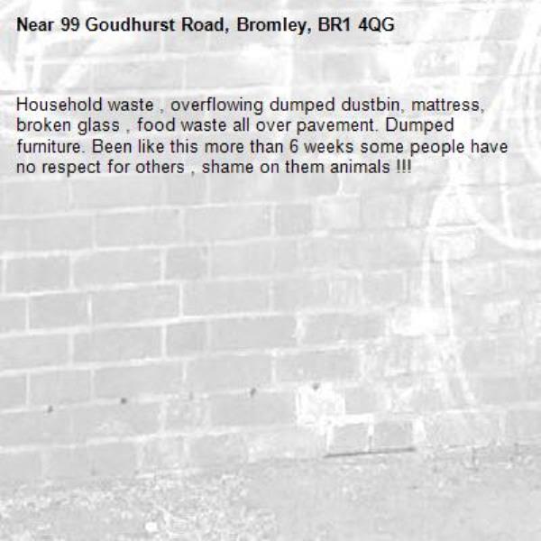 Household waste , overflowing dumped dustbin, mattress, broken glass , food waste all over pavement. Dumped furniture. Been like this more than 6 weeks some people have no respect for others , shame on them animals !!!-99 Goudhurst Road, Bromley, BR1 4QG