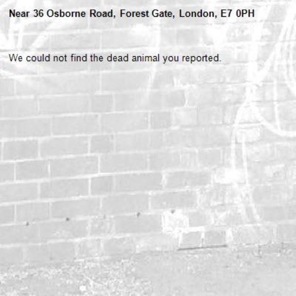 We could not find the dead animal you reported.-36 Osborne Road, Forest Gate, London, E7 0PH