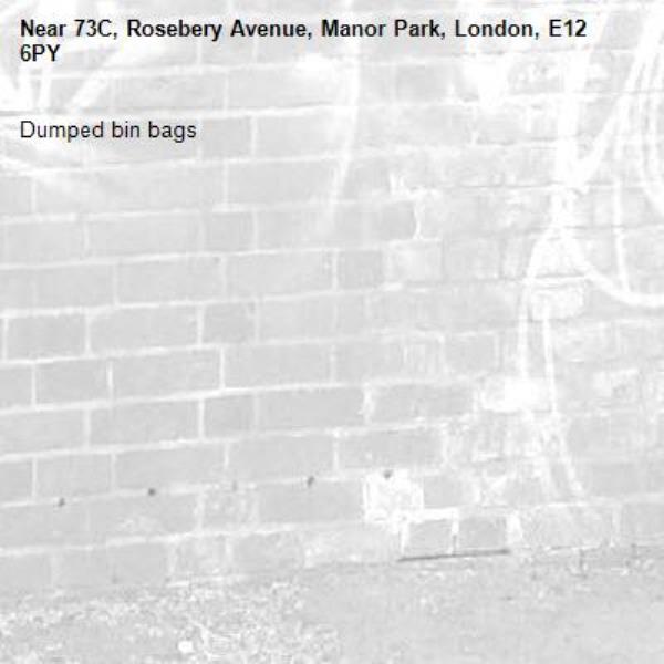 Dumped bin bags-73C, Rosebery Avenue, Manor Park, London, E12 6PY