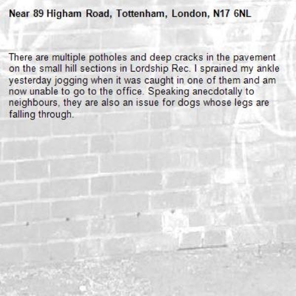 There are multiple potholes and deep cracks in the pavement on the small hill sections in Lordship Rec. I sprained my ankle yesterday jogging when it was caught in one of them and am now unable to go to the office. Speaking anecdotally to neighbours, they are also an issue for dogs whose legs are falling through.-89 Higham Road, Tottenham, London, N17 6NL