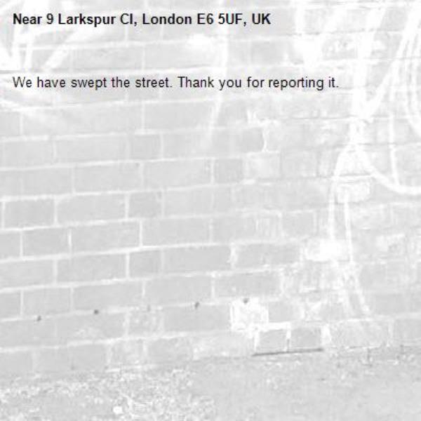 We have swept the street. Thank you for reporting it.-9 Larkspur Cl, London E6 5UF, UK