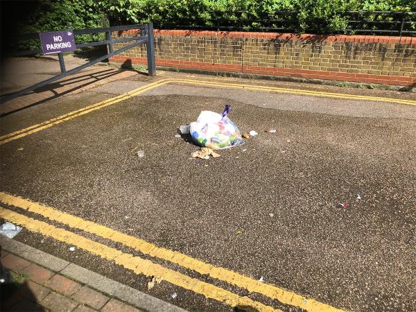 Please clear flytip bags from service Road-Farrer House, Deptford Church Street, London, SE8 3DY