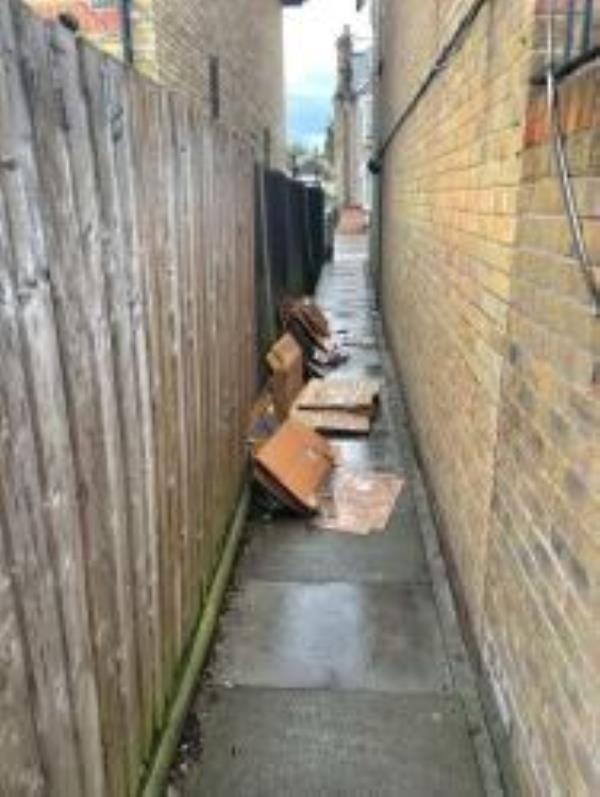 Please clear dumped cardboard from alleyway between Sangley Road and Engleheart Road
-141a Sangley Road, London, SE6 2DY