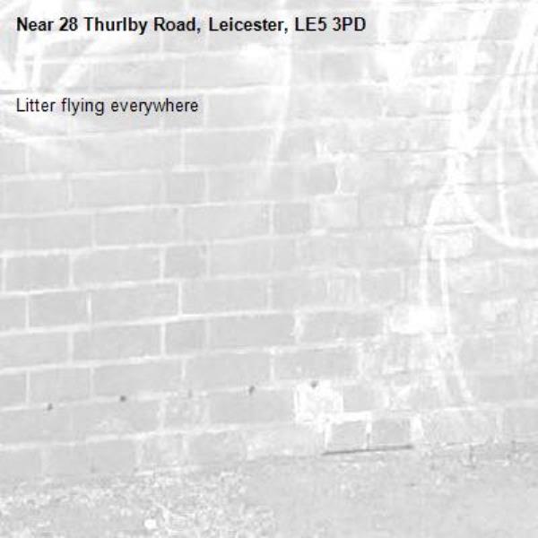 Litter flying everywhere-28 Thurlby Road, Leicester, LE5 3PD