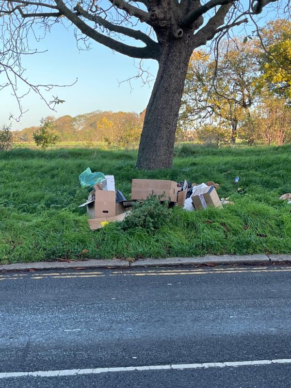 Fly tipped rubbish on verge of Wanstead Flats-50 Capel Road, Forest Gate North, E7 0JP, England, United Kingdom