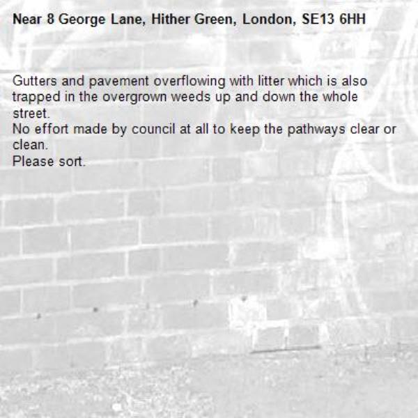 Gutters and pavement overflowing with litter which is also trapped in the overgrown weeds up and down the whole street.
No effort made by council at all to keep the pathways clear or clean.
Please sort. -8 George Lane, Hither Green, London, SE13 6HH