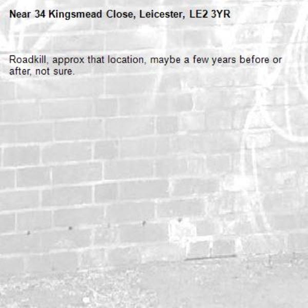 Roadkill, approx that location, maybe a few years before or after, not sure. -34 Kingsmead Close, Leicester, LE2 3YR