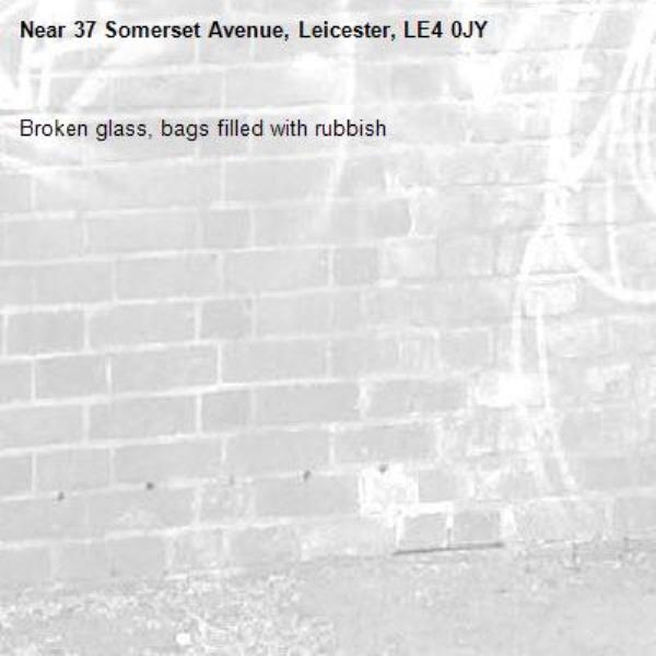 Broken glass, bags filled with rubbish -37 Somerset Avenue, Leicester, LE4 0JY