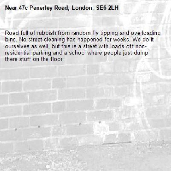 Road full of rubbish from random fly tipping and overloading bins. No street cleaning has happened for weeks. We do it ourselves as well, but this is a street with loads off non-residential parking and a school where people just dump there stuff on the floor-47c Penerley Road, London, SE6 2LH