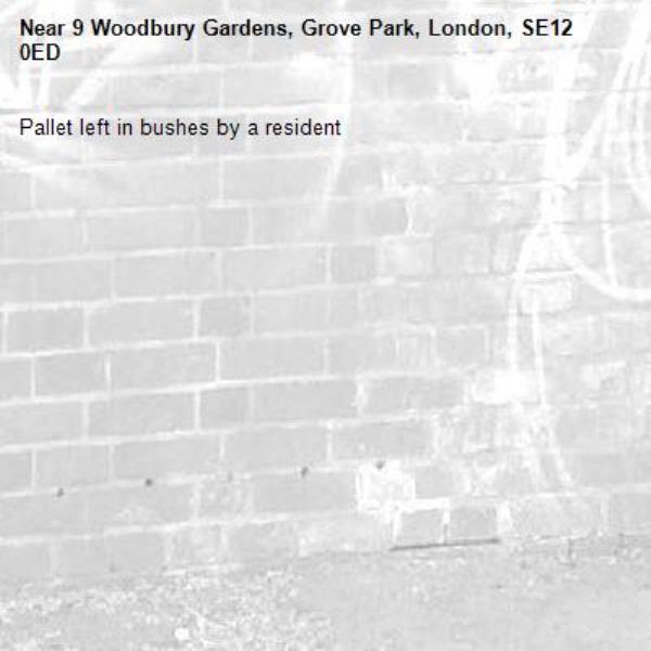 Pallet left in bushes by a resident-9 Woodbury Gardens, Grove Park, London, SE12 0ED