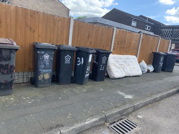 Culham Avenue bins are left outside along flying around in the wind banging against my fence everywhere there’s all waste be left this has been going on for so long nothing has been done.-Culham Avenue, Leicester, LE5 0NR