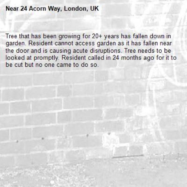 Tree that has been growing for 20+ years has fallen down in garden. Resident cannot access garden as it has fallen near the door and is causing acute disruptions. Tree needs to be looked at promptly. Resident called in 24 months ago for it to be cut but no one came to do so.-24 Acorn Way, London, UK