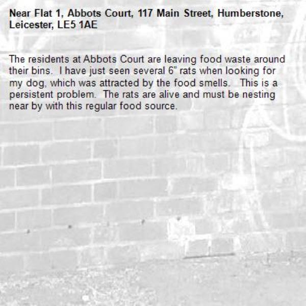 The residents at Abbots Court are leaving food waste around their bins.  I have just seen several 6” rats when looking for my dog, which was attracted by the food smells.   This is a persistent problem.  The rats are alive and must be nesting near by with this regular food source. -Flat 1, Abbots Court, 117 Main Street, Humberstone, Leicester, LE5 1AE